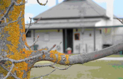 Dunalan Host Farm Cottage - Tweed Heads Accommodation 1