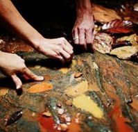 Daintree Eco Lodge And Spa - Tweed Heads Accommodation