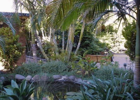 SMART MOTELS BERT HINKLER - Tweed Heads Accommodation 3
