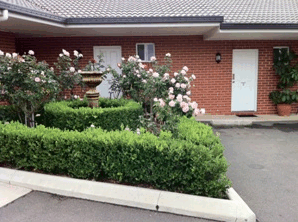 Akuna Motor Inn - Tweed Heads Accommodation 4
