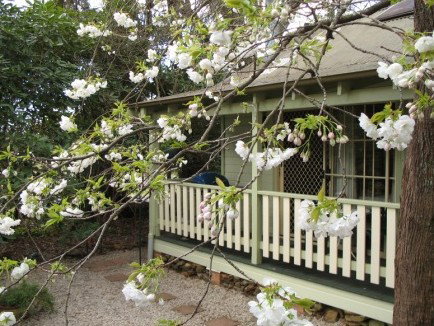 Harrow Cottages - Tweed Heads Accommodation 0