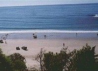 Acacia Holiday Flats - Tweed Heads Accommodation 3