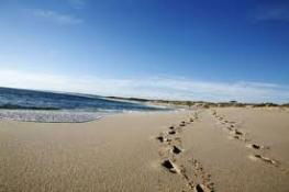 Kalbarri Palm Resort - Tweed Heads Accommodation 4