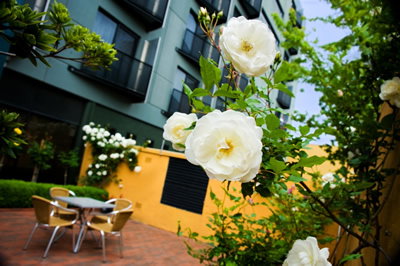 The Old Woolstore Apartment Hotel - Tweed Heads Accommodation 5