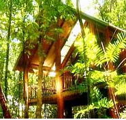 The Canopy Treehouses - Tweed Heads Accommodation