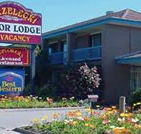Strzelecki Motor Lodge - Tweed Heads Accommodation