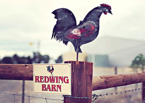 Redwing Farm - The Barn - Tweed Heads Accommodation 0