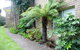 Beachfront Units Merimbula - thumb 3