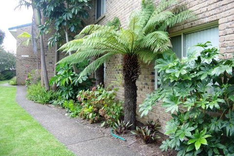 Beachfront Units Merimbula - Tweed Heads Accommodation 3