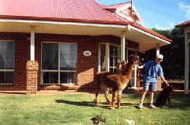  Tweed Heads Accommodation