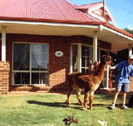 Brilea Cottages - Tweed Heads Accommodation