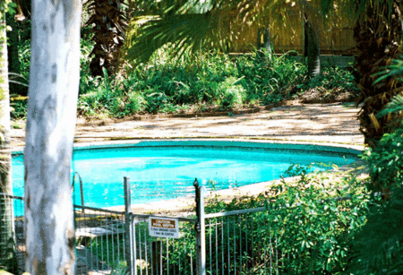 Forest Lodge Apartments - Tweed Heads Accommodation