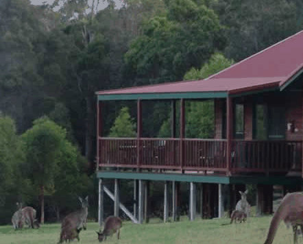 Walpole Wilderness Resort - Tweed Heads Accommodation