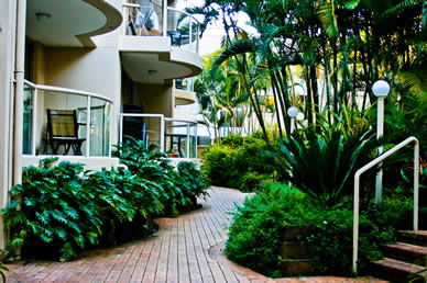 Miami Beachside Apartments - Tweed Heads Accommodation 9