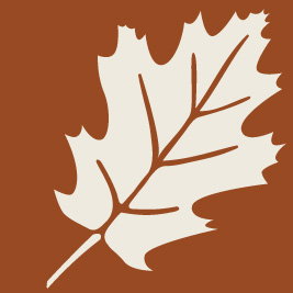 Marysville Garden Cottages - Tweed Heads Accommodation 1