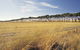 Port Wakefield Motel - thumb 0