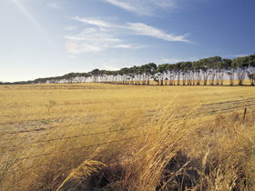 Port Wakefield Motel - Tweed Heads Accommodation 0
