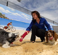 Hanrob Pet Hotels - Tweed Heads Accommodation