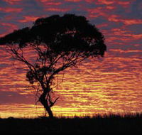 Kimba Caravan Park amp Motel - Tweed Heads Accommodation