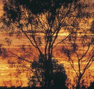 Tilmouth Well - Tweed Heads Accommodation