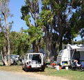 Elliston Caravan Park - Tweed Heads Accommodation