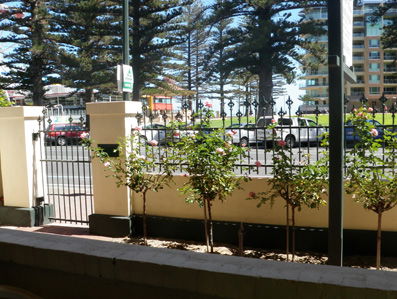 Grandview House Apartments - Tweed Heads Accommodation 5