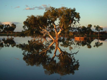 Wooleen Outback Station Stay - Tweed Heads Accommodation 3