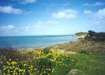 St Andrews Boulevard Apartments - Tweed Heads Accommodation 1
