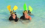 Adventure Island Whitsundays (south Molle Island) - Tweed Heads Accommodation 5