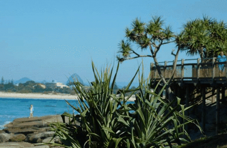 Pandanus Shores - Tweed Heads Accommodation 5