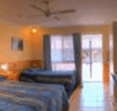 Best Western Twin Towns Motel - Tweed Heads Accommodation