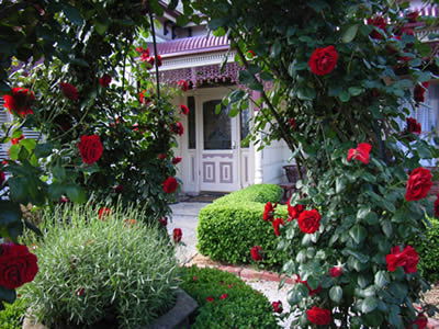 Bed And Breakfast At Stephanie's - Tweed Heads Accommodation 0
