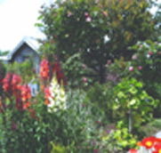 Hopfield Country Cottages - Tweed Heads Accommodation