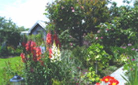 Hopfield Country Cottages - Tweed Heads Accommodation 0