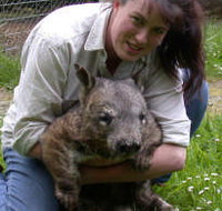 Fauna Australia Wildlife Retreat - Tweed Heads Accommodation