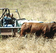 Bullo River Station - Tweed Heads Accommodation