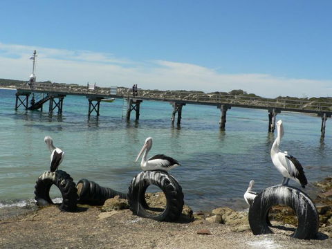 Fareview Beach House - Tweed Heads Accommodation 3