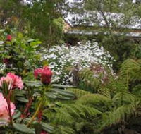 Lorne Lemonade Creek Cottages - Tweed Heads Accommodation