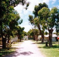 Bathers Paradise Caravan Park - Tweed Heads Accommodation