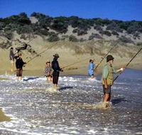 Flippers Beachouse - Tweed Heads Accommodation