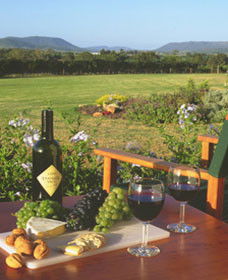 Tranquil Vale Vineyard Cottages - Tweed Heads Accommodation 0