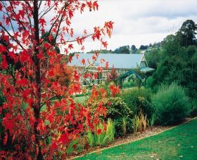 Paganetti's Luxury Country Escape - Tweed Heads Accommodation 0