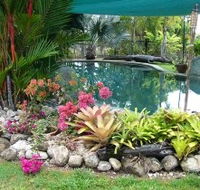 Daintree Wild Bed And Breakfast - Tweed Heads Accommodation
