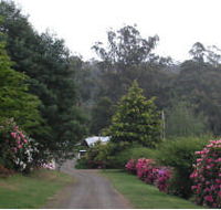 Mountain Rivers Lodge - Tweed Heads Accommodation