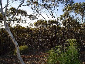 Yornaning ACT Tweed Heads Accommodation