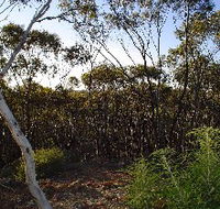Lions Dryandra Woodlands Village - Tweed Heads Accommodation