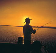 Point Stuart Wilderness Lodge - Tweed Heads Accommodation