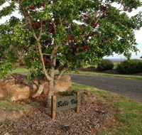 Belle Vue Studio - Tweed Heads Accommodation