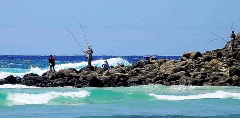 Orchid Sands Fraser Island Accommodation - Tweed Heads Accommodation 2