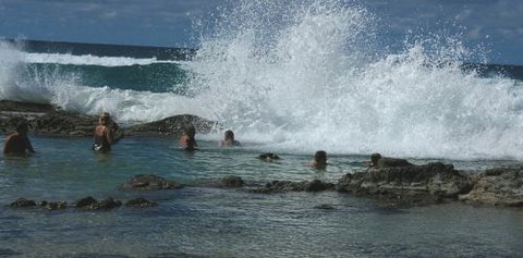 Orchid Sands Fraser Island Accommodation - Tweed Heads Accommodation 5